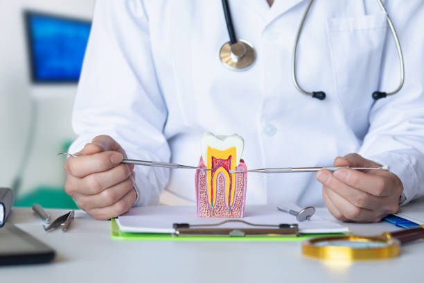 Best Emergency Wisdom Tooth Extraction in Winnebago, MN